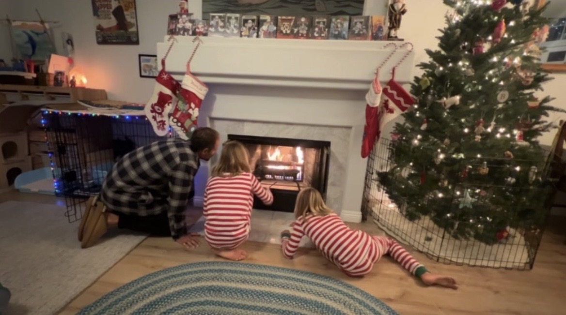 South OC homeowner fireplace chimney service